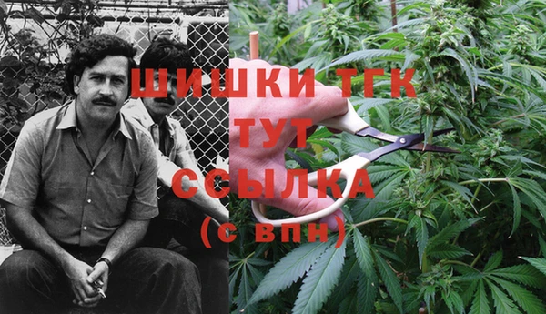 прущая мука Абаза